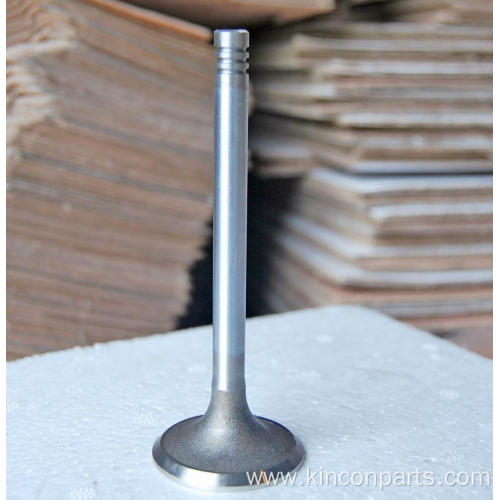 Engine Valves 226B